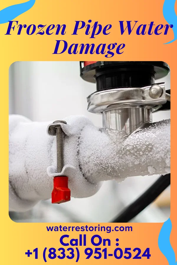 Frozen Pipe Water Damage in Pine Forest, TX