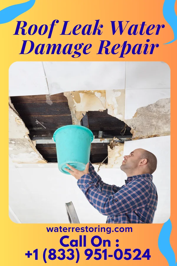 Roof Leak Water Damage Repair in Pine Forest, TX